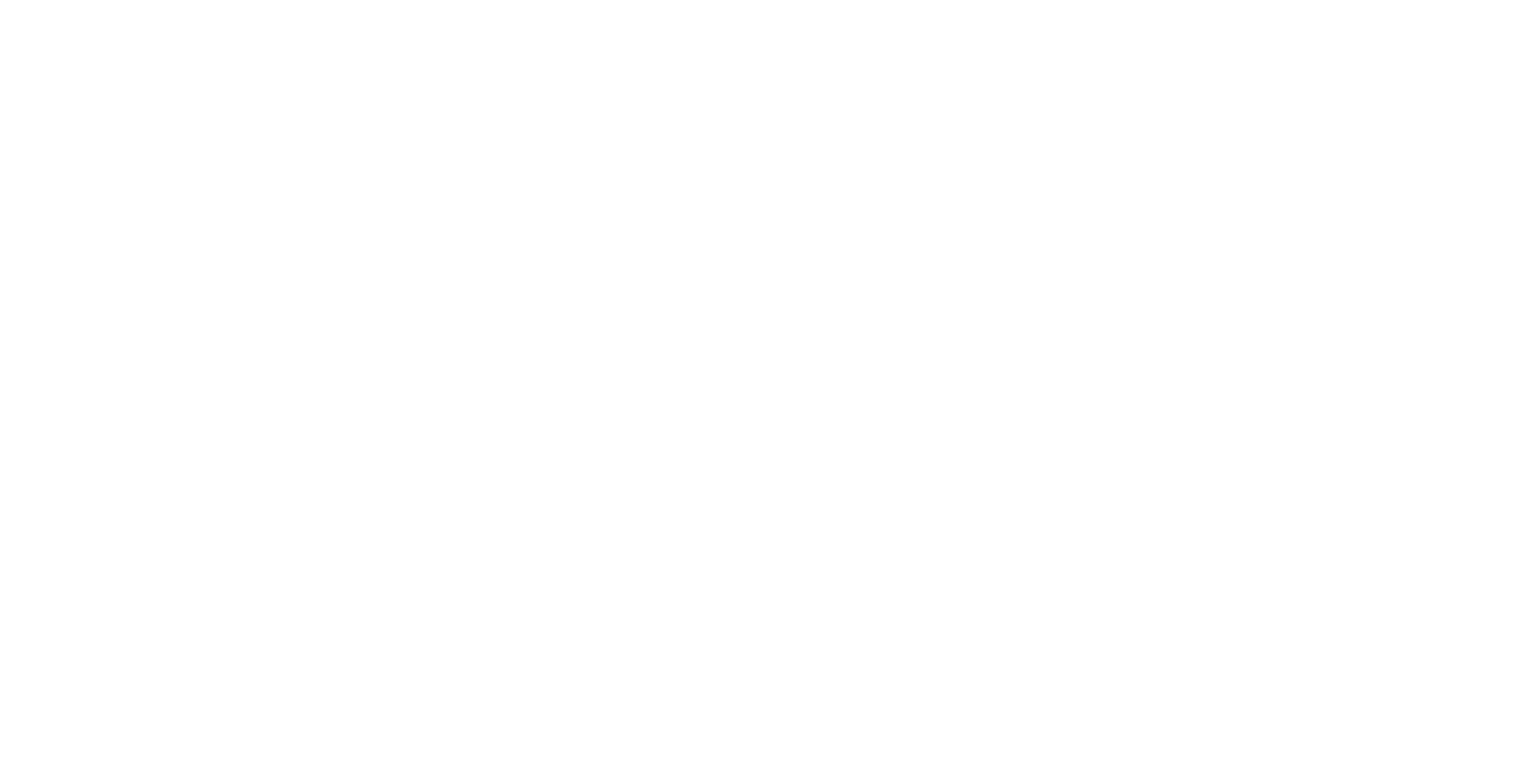vfb schrift weiss